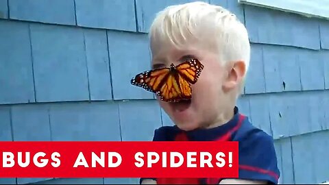 Funniest Insects and Spiders of 2017 | Funny Pet Videos