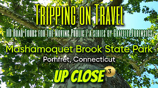Tripping on Travel: Mashamoquet State Park #3, Pomfret, CT