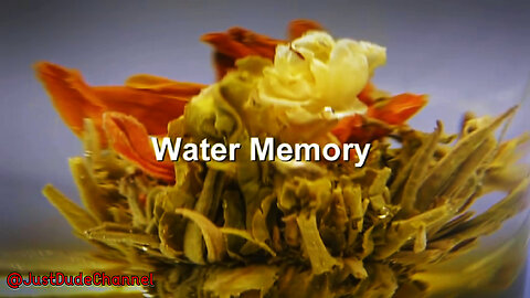 Water Memory