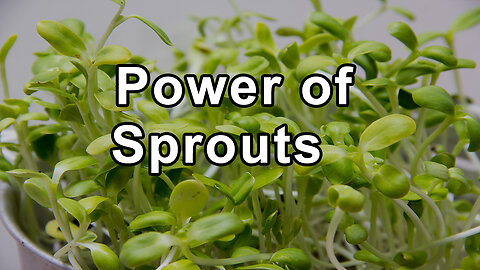Unlocking the Power of Sprouts for Optimal Health - Doug Evans