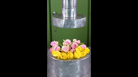 Flowers Crushed by hydraulic pressure