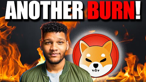 I Missed It!!! Another Massive Shiba Inu Burn!!!