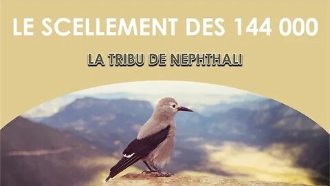 Le scellement des 144 000 : La tribu de Nephthali - Olivier Dubois
