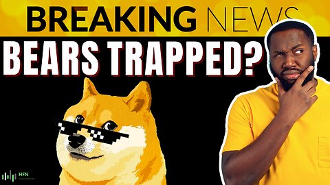 Dogecoin At $.07 - Time To Panic Or Double Down? Doge Coin Price Prediction