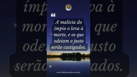 Salmo 33,22 - A malícia do ímpio o leva à morte, e os que odeiam o justo serão castigados.