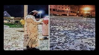 Mecca hit by “plague of locusts” during Ramadan rainfall