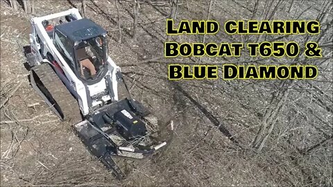 Clearing Land! Bobcat T650 & Blue Diamond Severe Duty for Land Management