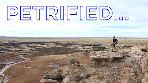Petrified Forest National Park Tour : Landscape Photography with Logs Made like Cement!