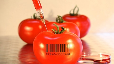 10 Worrying Facts About Genetically Modified Food