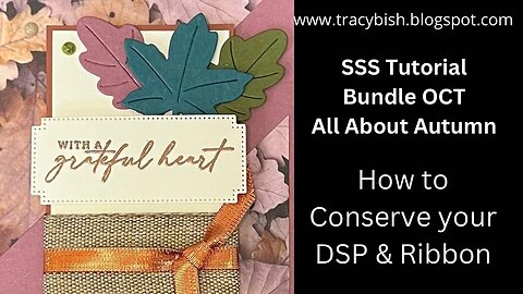 Tips on how to conserve your DSP & Ribbon!