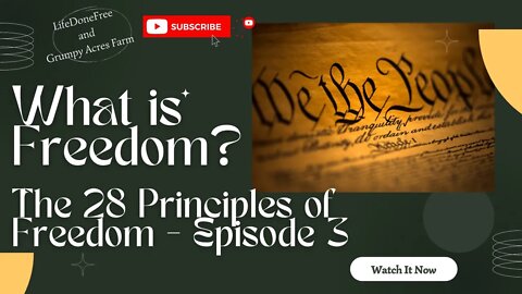 What is Freedom? 28 Principles of Freedom - Episode 3