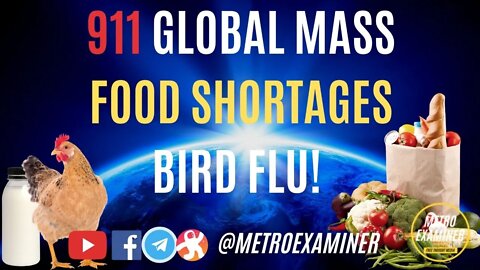 911- GLOBAL MASS FOOD SHORTAGES - BIRD FLU