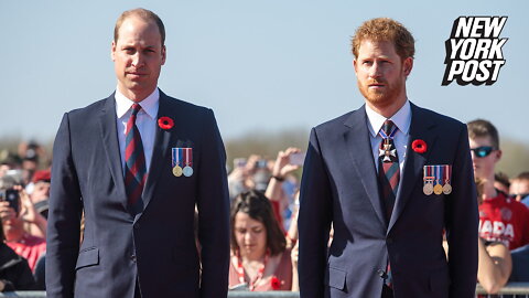Harry and William were 'lost souls' before meeting Meghan and Kate, claims expert