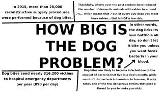 HOW BIG IS THE DOG PROBLEM?