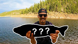 Catching Big Mystery Fish After Big Mystery Fish That Aren't Supposed To Be Here!