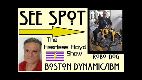 SPOT - THE BOSTON DYNAMIC/IBM ROBODOG - WICKEDLY BAD-ASS!