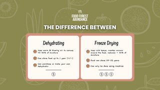 What is the difference between dehydration and freeze drying?
