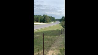 Porsche GT3RS Flyby