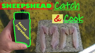 Bradenton Sheepshead Fishing CATCH and COOK and My Secret INGREDIENT!