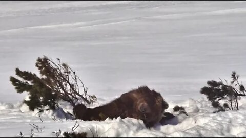 Kamchatka, life begins, respect for nature 3