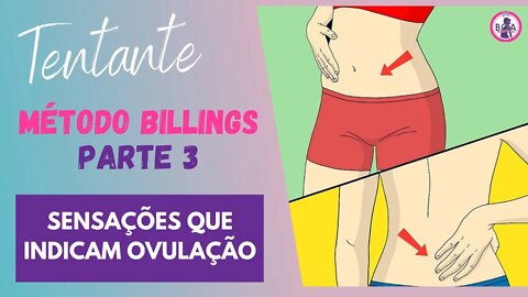 COMO SABER SE OVULEI? - Método Billings 3ª Parte