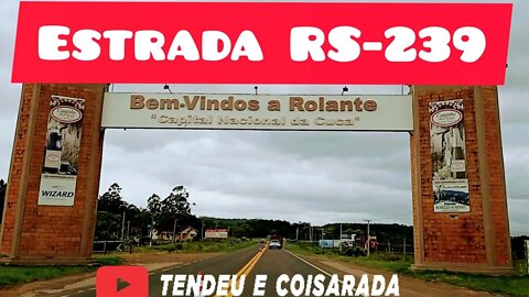 Conheça a Estrada RS-239 no Rio Grande do Sul, de Taquara a Rolante #estrada #viajar #carro