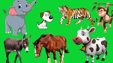 Cute animals & Birds - Cat, Dog, Horse, Duck,monkey,lion ,Tiger Elephant ,cow ,pig, donkey, giraffe