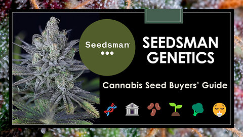 23 Best Seedsman Strains | Cannabis Seed Buyers' Guide