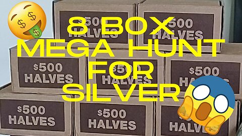 8 Box Mega Hunt for Silver