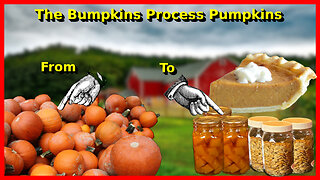 The Bumpkins Process Pumpkins.