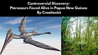 Controversial Discovery: Pterosaurs Found Alive in Papua New Guinea By Creationist