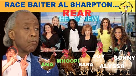 Race Baiter & Hustler Exposed: The View Reacts to Al Sharpton Rant on Florida's 'Stop Woke Act'