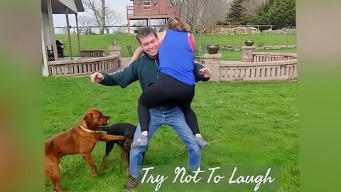 😂 Funniest Fails 2024! Try Not To Laugh Challenge 😅