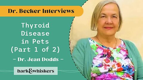 Thyroid Disease in Pets with Dr. Jean Dodds (Part 1 of 2)