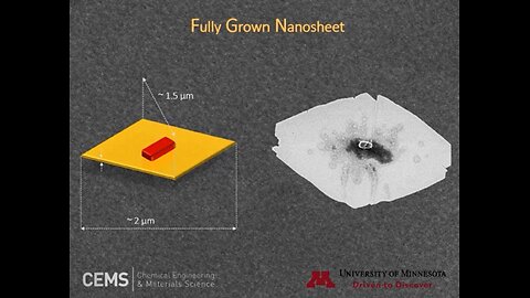 Weaponized Zeolite Nanosheets in Your Body?