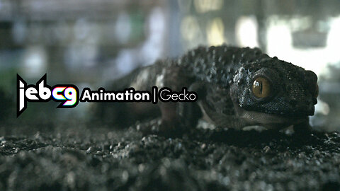 Jebcg Animation | Gecko