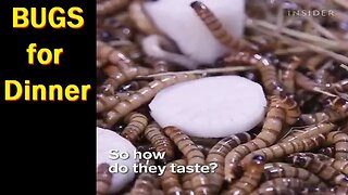 Globalists Say Eat Zee Bugs...Peasants!