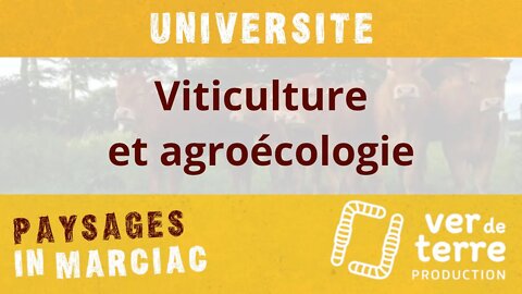 Université "Viticulture et agroécologie" 1/2