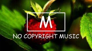 Dyalla - I've Seen（Mm No Copyright Music）