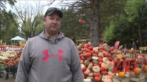 Farmers seeing fewer pumpkins in crops for Halloween season