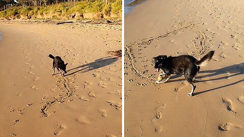 Dog Creates Some Pretty Amazing Artwork In The Sand