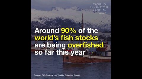 Around 90_ of the world_s fish stocks are being overfished