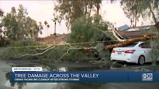 Storms cause major storm damage across the Valley