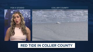 Red Tide health alerts lifted in some areas