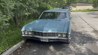 1967 Chevy impala wagon … in the wild