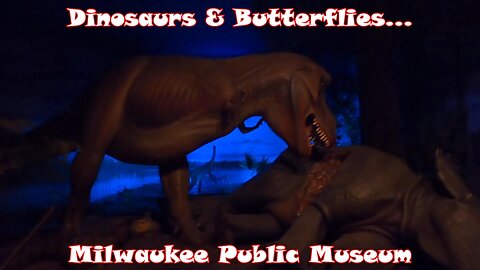 Dinosaurs & Butterflies: Milwaukee Public Museum Pt. 2
