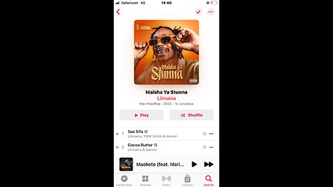 Maisha ya stunna album review by lil maina #cyclistmwenda #mwendawiththereviews