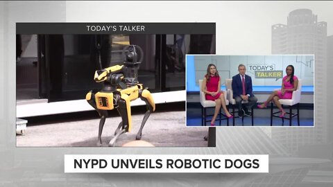 Today's Talker: Robot K9s, Spring things to do in MKE, and a new Hulu show about Freaknik