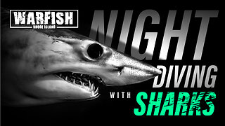 WARFISH 001 - Night Diving With Sharks