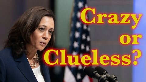 Has Kamala Harris Gone Crazy? - 1/6/21 DC Protest